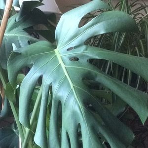 Meet your Posher, Stacie